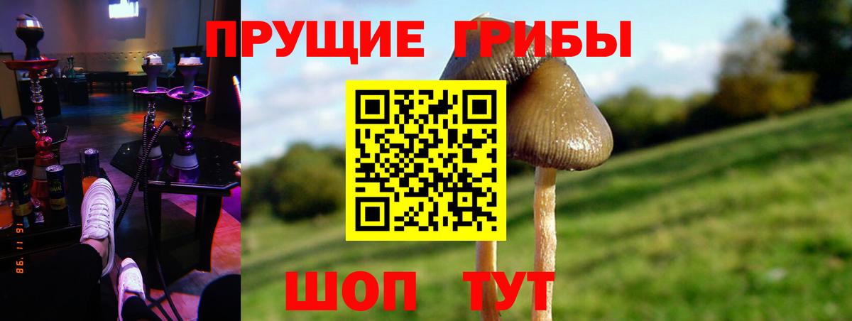 Псилоцибиновые грибы GOLDEN TEACHER  Галлюциногенные грибы GOLDEN TEACHER  Луга  Вход с VPN 